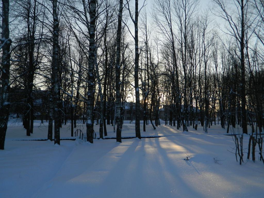 Прогулки по Андреаполю (2013 год)